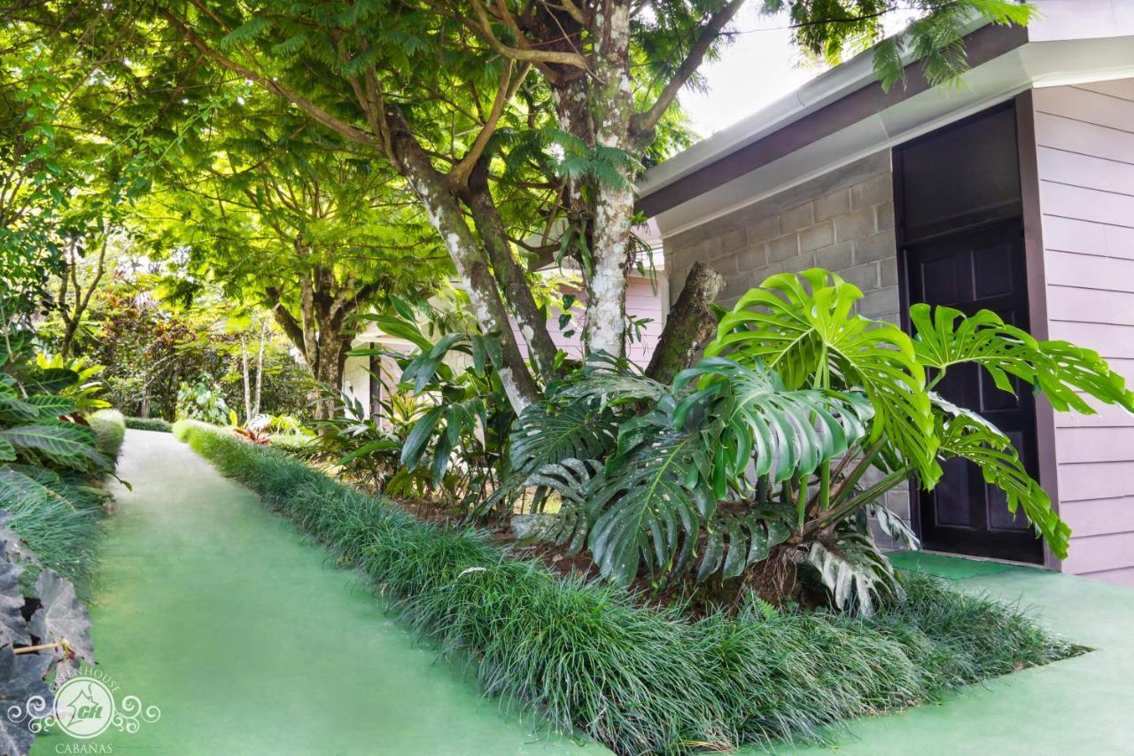 Cabanas Green House San Vito Exteriér fotografie